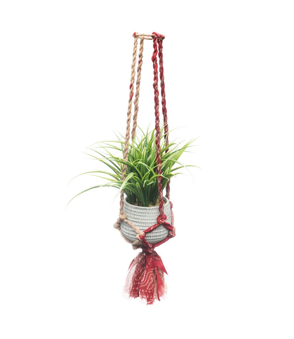 Macrame Sari Plant Hanger