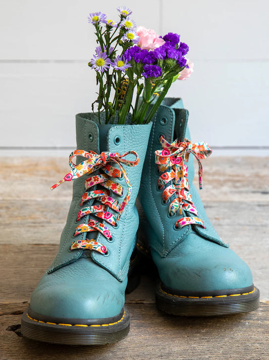 Shoelaces. 2pair